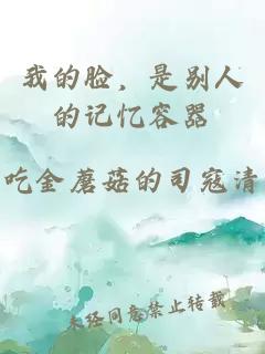 我的脸，是别人的记忆容器